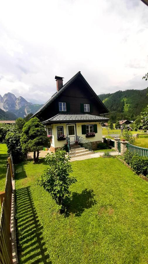 Waldglück